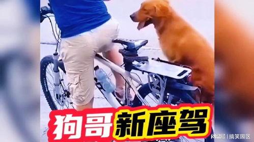 狗哥爆料新鞋视频播放,新鞋视频播放,潮流新品抢先看! 第2张 狗哥爆料新鞋视频播放,新鞋视频播放,潮流新品抢先看! 第2张